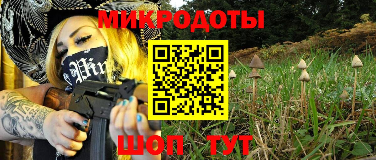 Псилоцибиновые грибы Magic Shrooms Сланцы