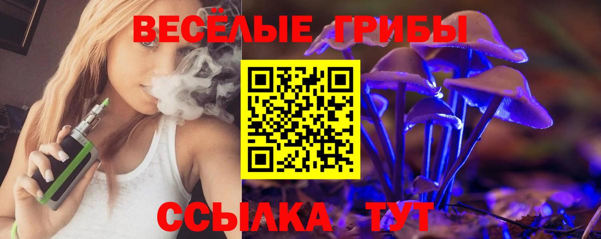 Сланцы  Галлюциногенные грибы прущие грибы  Галлюциногенные грибы Cubensis  Вход с VPN 